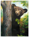 Bear King
