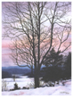 Cades Cove Twilight