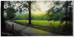 Evening Shadows