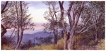 Lookout Point