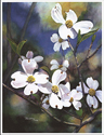 Spring Serenade